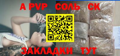 бошки Кингисепп